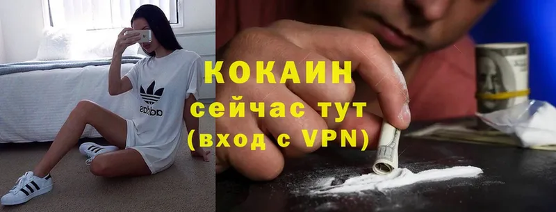 Cocaine Боливия  Шагонар 